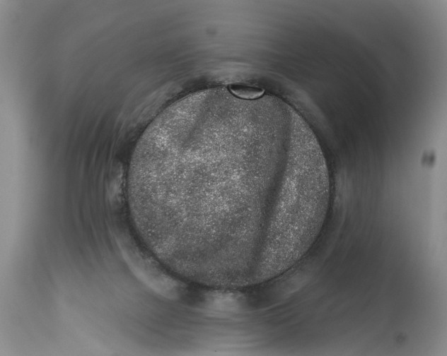 X0000114990073200911161523