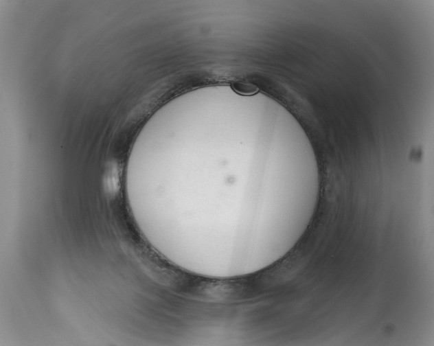 X0000114990075200911161523