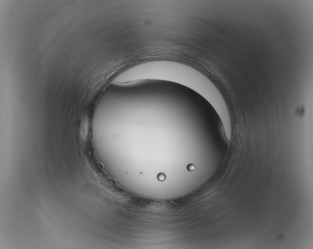 X0000114990076200911161523