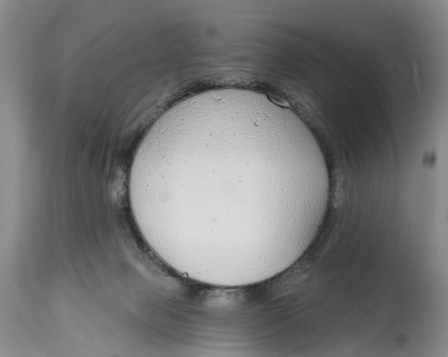 X0000114990077200911161523