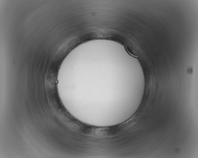 X0000114990078200911161523