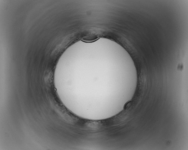 X0000114990079200911161523