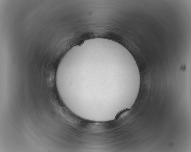 X0000114990082200911161523