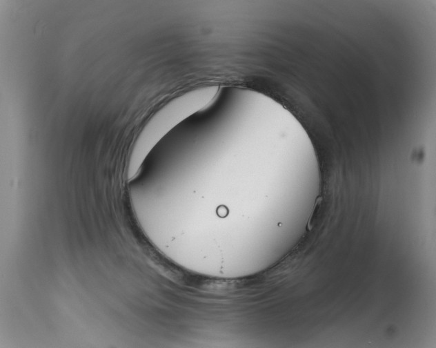 X0000114990084200911161523