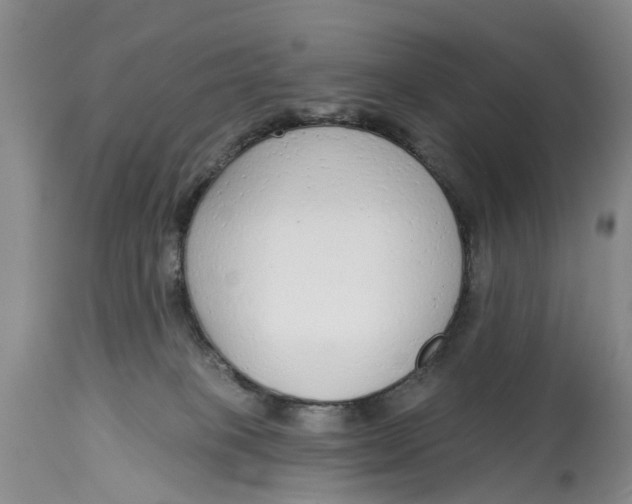 X0000114990085200911161523