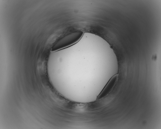 X0000114990088200911161523