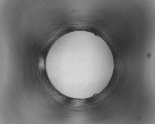 X0000114990089200911161523