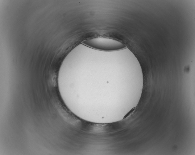 X0000114990090200911161523