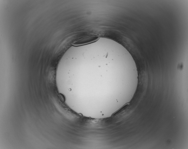 X0000114990092200911161523