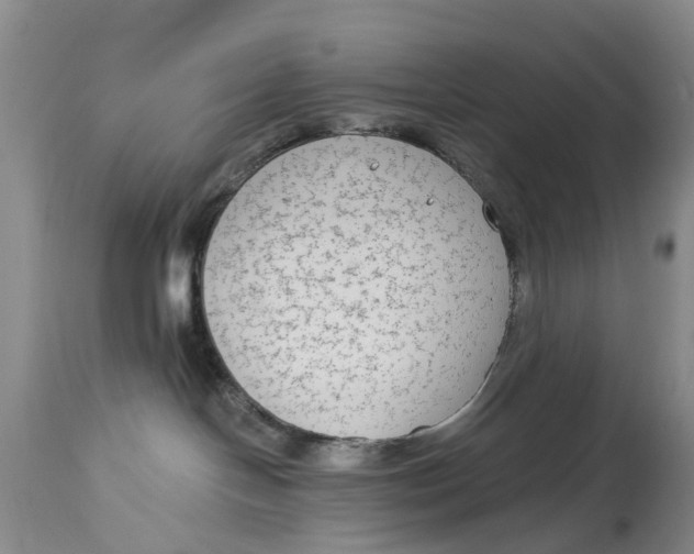 X0000114990094200911161523