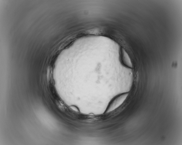 X0000114990095200911161523