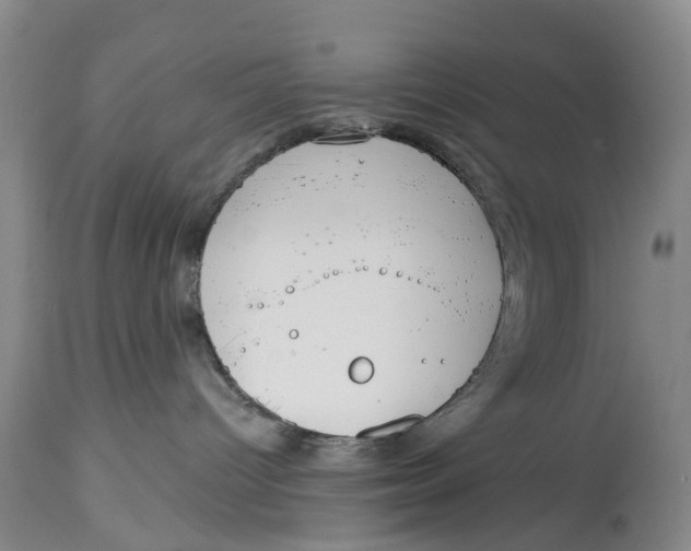 X0000114990096200911161524