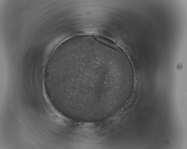 X0000114990097200911161523