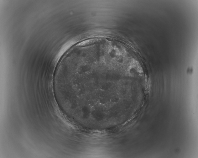 X0000114990099200911161523