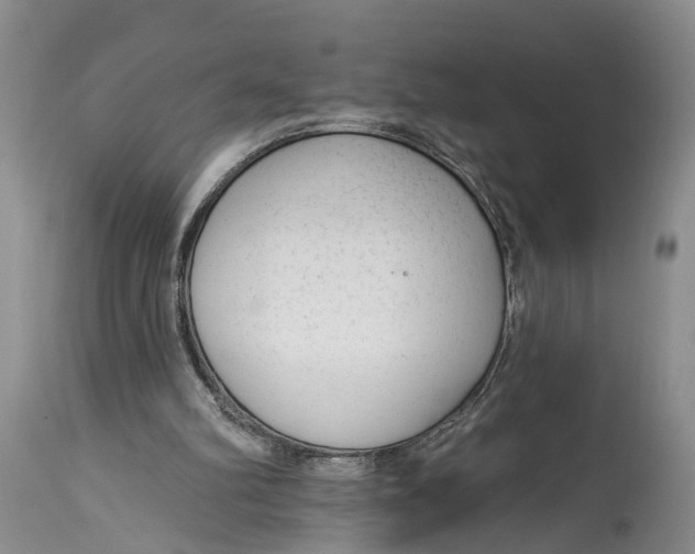 X0000114990102200911161523