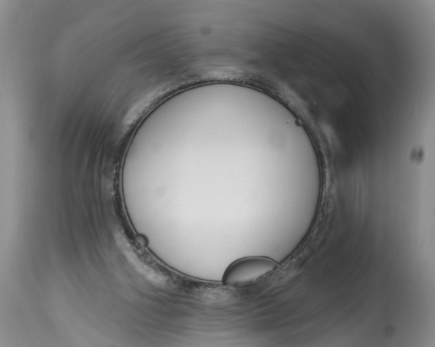 X0000114990106200911161523