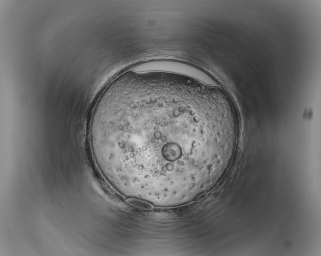 X0000114990107200911161523