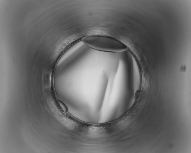 X0000114990109200911161523