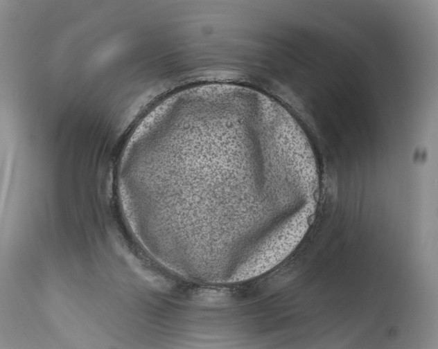 X0000114990110200911161523