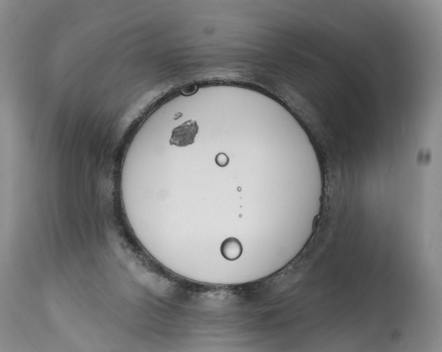 X0000114990112200911161523