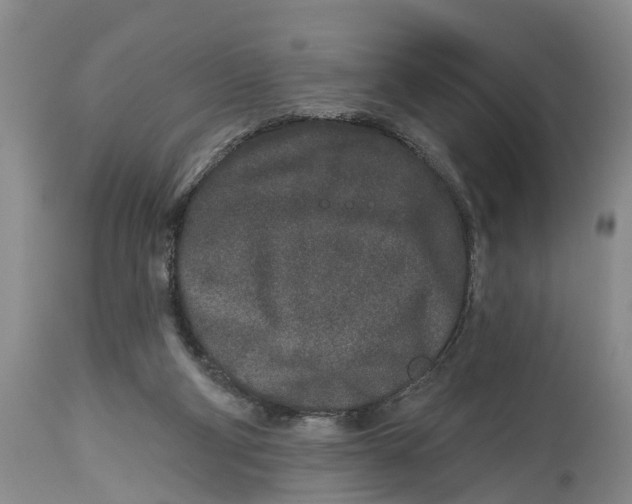 X0000114990114200911161523