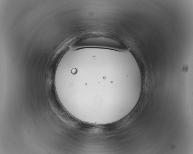 X0000114990116200911161523