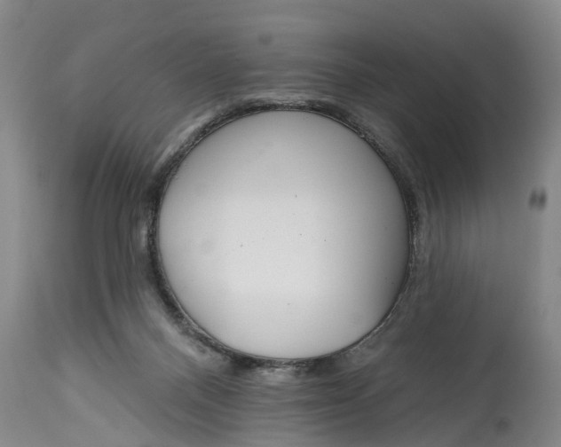 X0000114990120200911161522