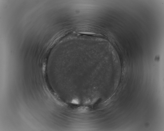 X0000114990124200911161522