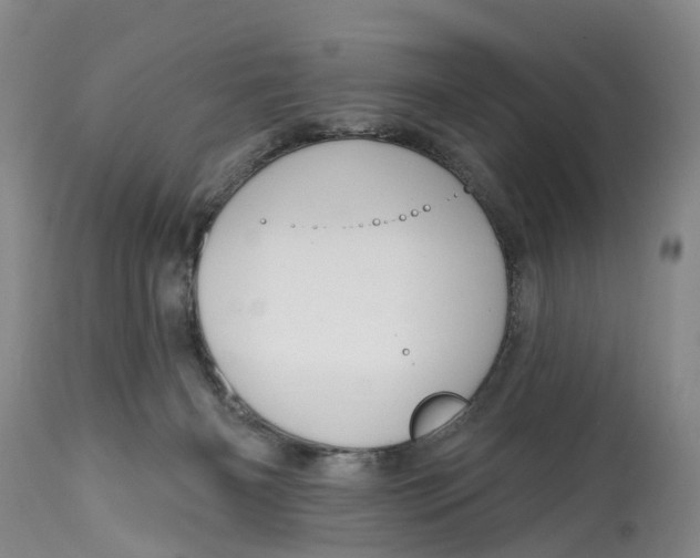 X0000114990126200911161522