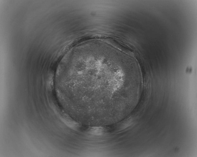 X0000114990127200911161522