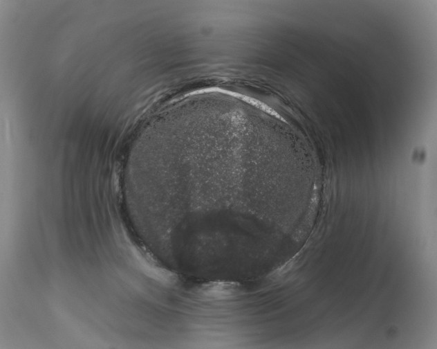 X0000114990128200911161522