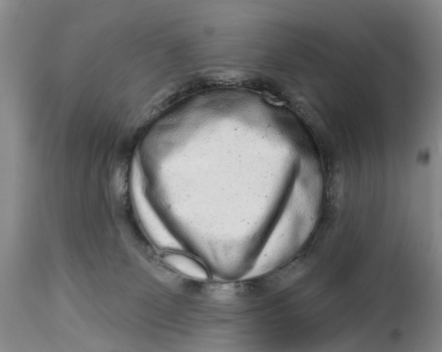 X0000114990131200911161522