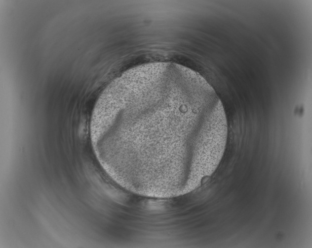 X0000114990134200911161522