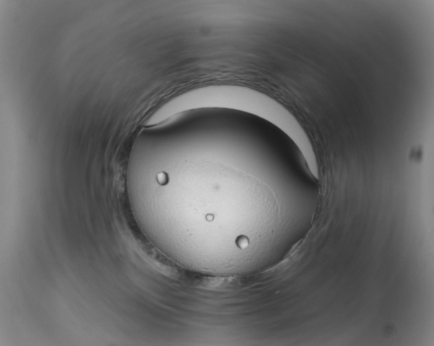 X0000114990136200911161522