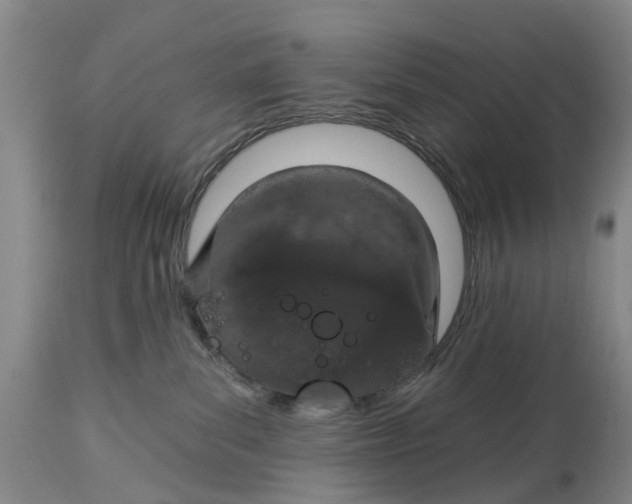 X0000114990139200911161522