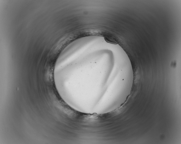 X0000114990140200911161522