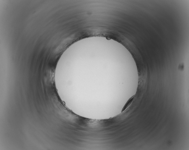 X0000114990142200911161522