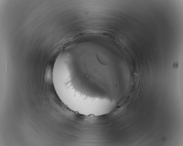 X0000114990143200911161522