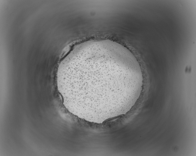 X0000114990144200911161522