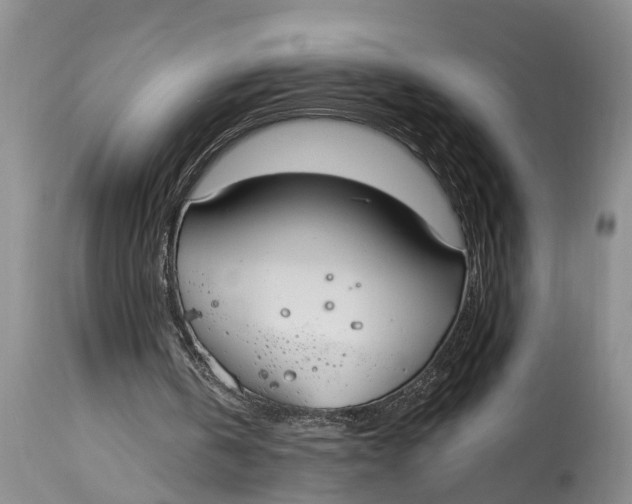 X0000114990146200911161521