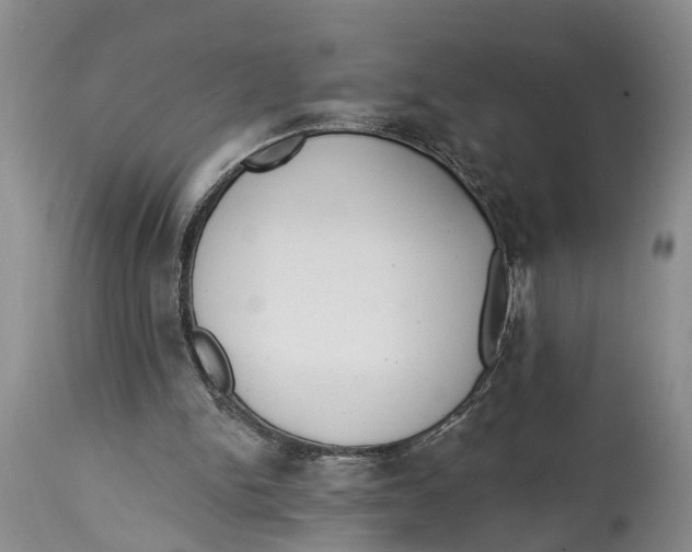 X0000114990150200911161521