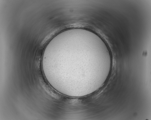 X0000114990153200911161521