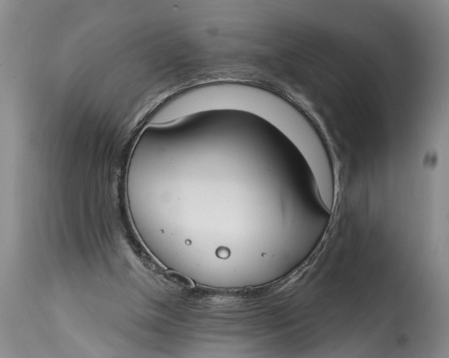 X0000114990154200911161521