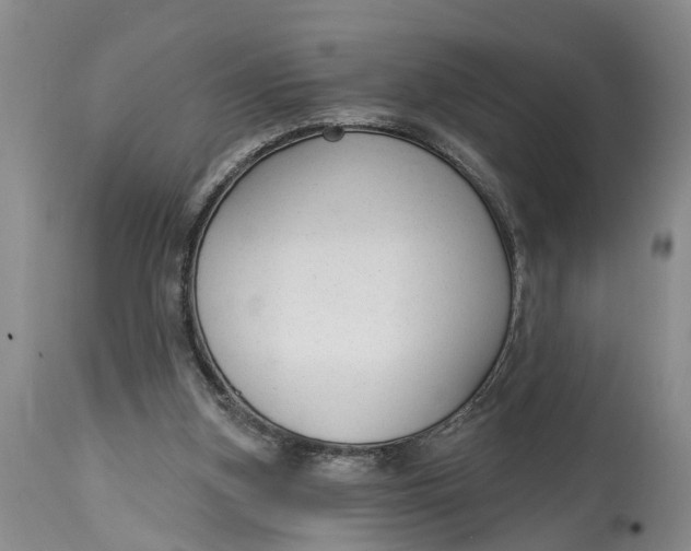 X0000114990155200911161521