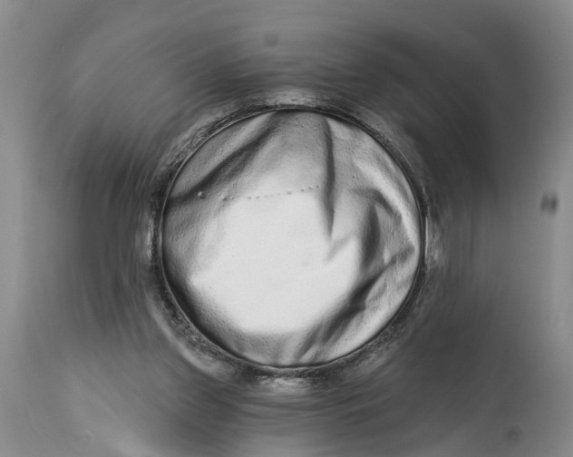 X0000114990157200911161522