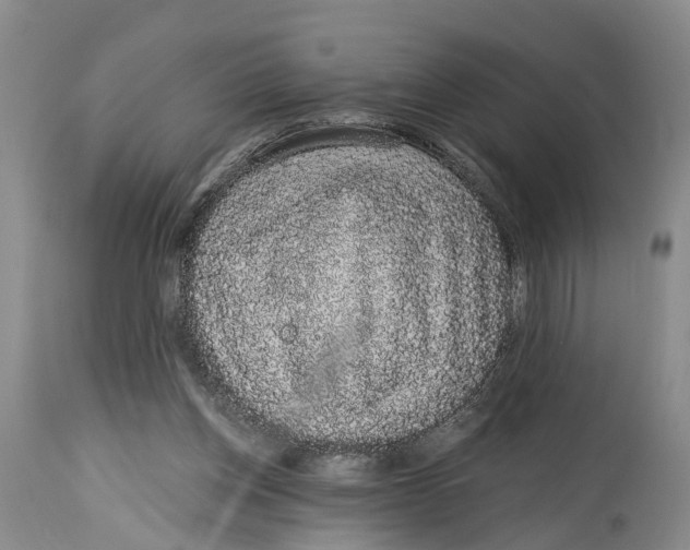 X0000114990158200911161522