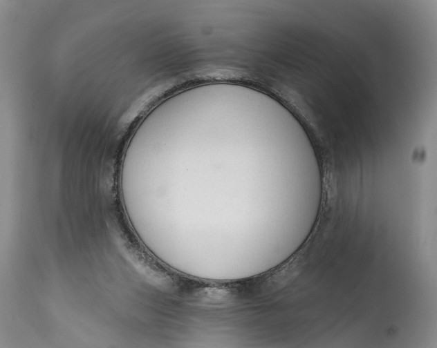 X0000114990159200911161522