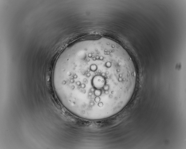 X0000114990161200911161522