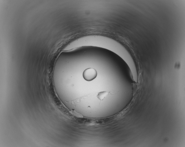 X0000114990162200911161522