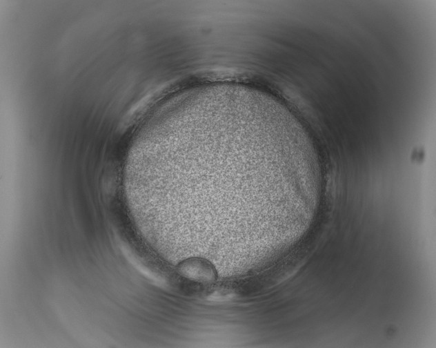 X0000114990165200911161522